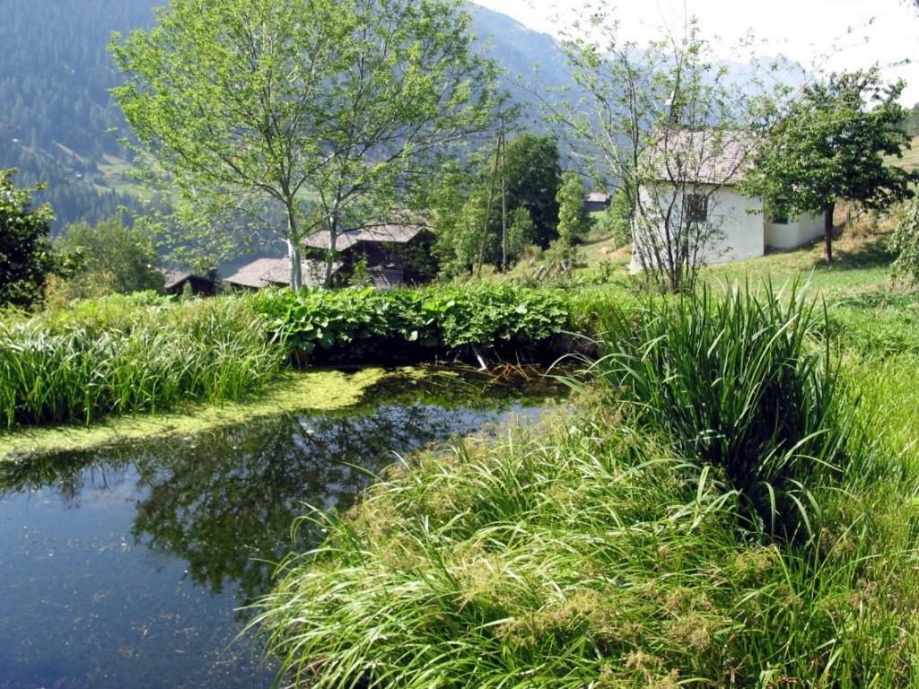 Haus Diezig Goms Dış mekan fotoğraf